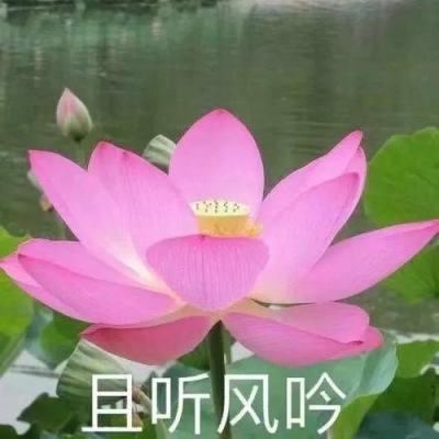 无限幻想hd官方版下载